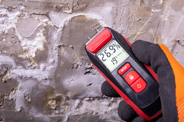 Best Attic Mold Removal  in Lake Landor, VA