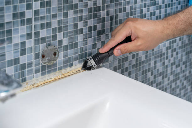 Best Mold Removal Near Me  in Lake Landor, VA