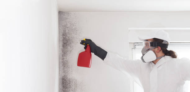 Best Emergency Mold Removal  in Lake Landor, VA