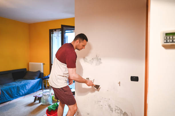 Best Affordable Mold Removal  in Lake Landor, VA